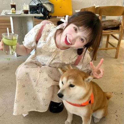 大内密探